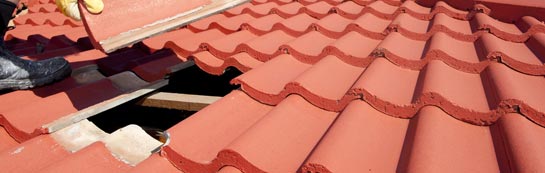 compare Dartmouth Park roof repair quotes